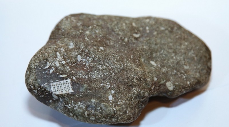В Краснодарском крае обнаружен камень с неизвестным фрагментом возрастом 400 млн лет