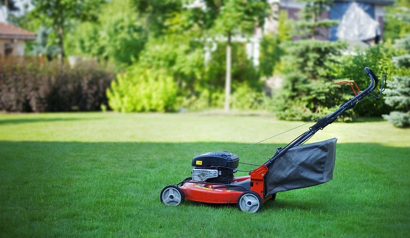 Где купить садовый аэратор в Киеве и какое назначение техники