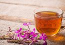 Иван чай польза и вредность для здоровья человека