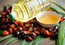 Пальмовое масло польза и вред для организма человека