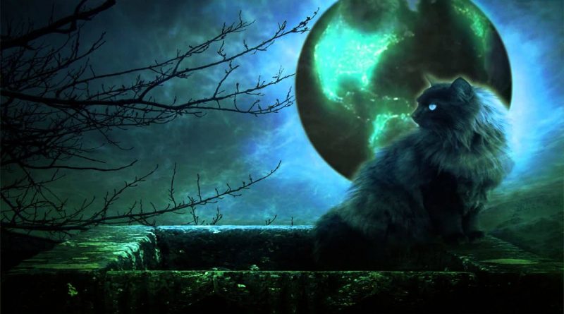 Мистика или цирк? Как сакральное превратилось в шоу